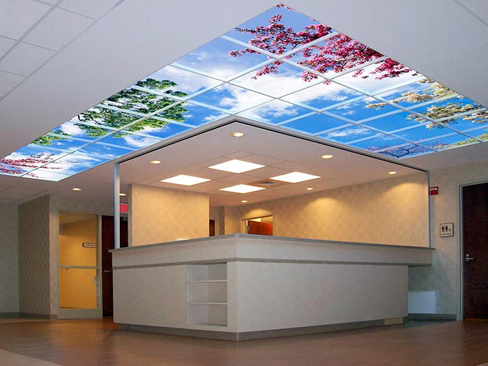 Sky-Ceiling