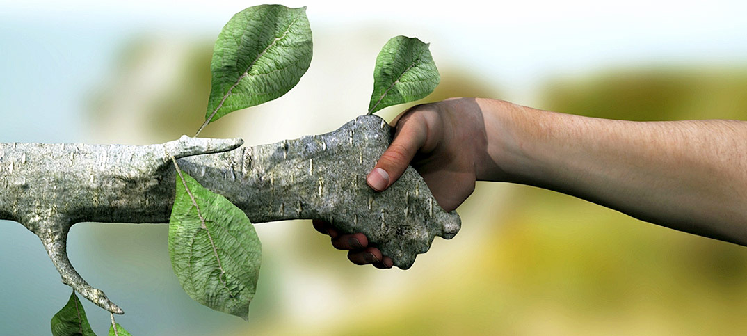 رنگ های ساخته شده از مواد خام گیاهی تیکوریلا