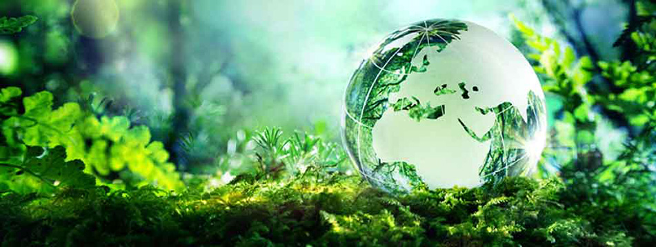 نسل سوم تولیدات تیکوریلا